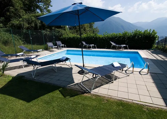 Rosa 빌라 아르제뇨